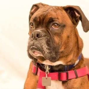 Meet your Posher, Mary